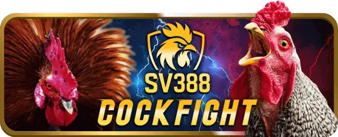 Hoàn trả thể thao vi68